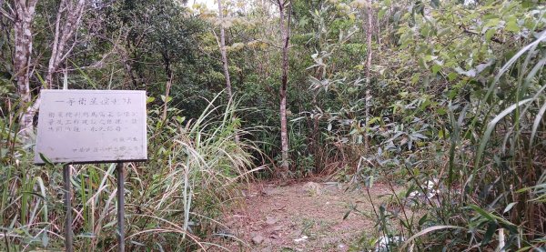 2025 4/5 加奈美山2754455