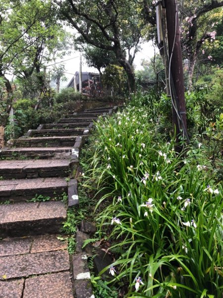 南港山縱走（中華科大登山口—象山）550432