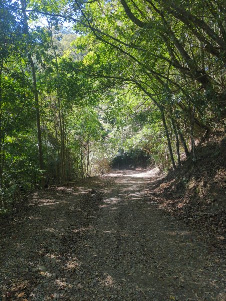 2025.12.06－北坑山步道&雪見遊憩區2956228