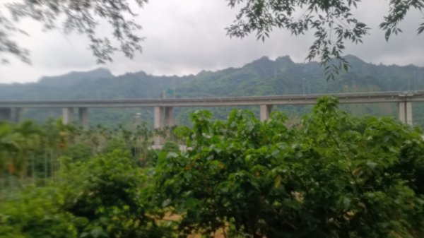 橋聳雲天綠雕園區1753779