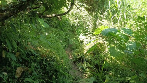 20251004 馬那邦山 - 珠湖 登山口2904888