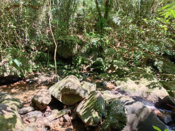 汐止區小溪瀑布+車坪寮土地公稜線2890146