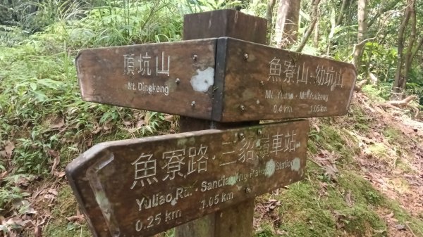 平溪區碩仁里-幼坑古道-幼坑山-幼坑山南鞍-大平林山-番子坑生態園區-番子坑3086150