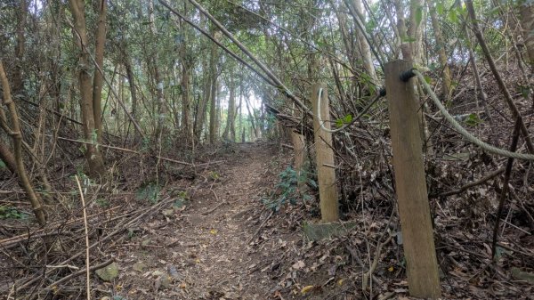 橫龍山、橫龍古道2682912