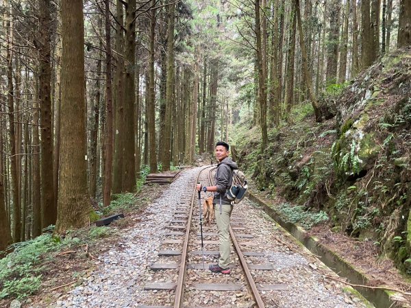 二萬坪山.屏遮那山.夫妻神木【最佳品質的森林浴】2370224