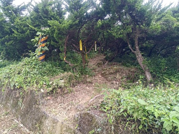 華山4-2號步道上雲嘉連峰2579387