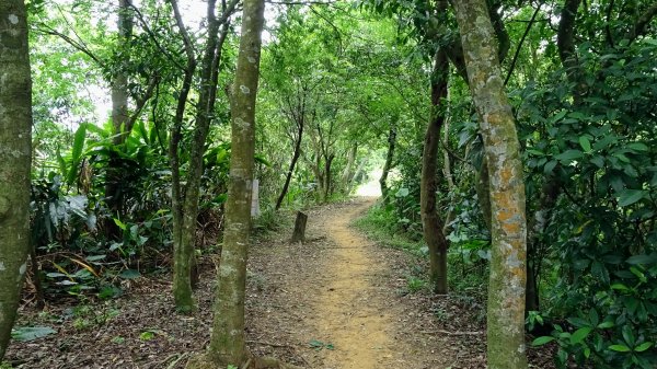 福州山,中埔山,黎和生態公園2234135