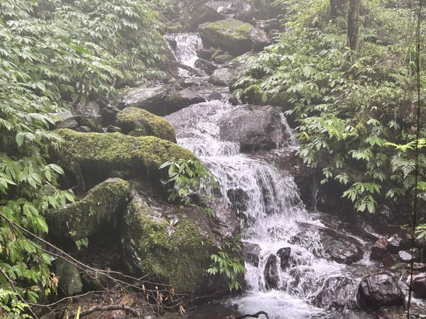 聖母登山步道（抹茶山）2000128