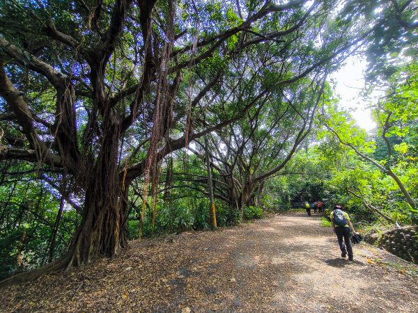 2025-05-25 高雄龜山、半屏山2799126