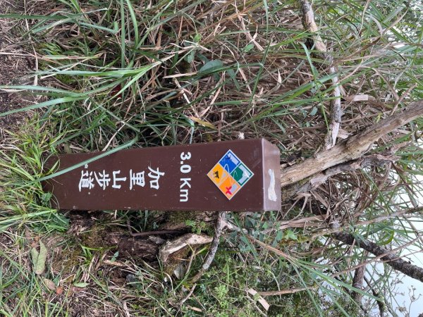 20220917_加里山（苗栗小百岳）2762198