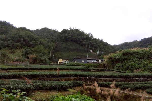 北勢溪自行車道3085097