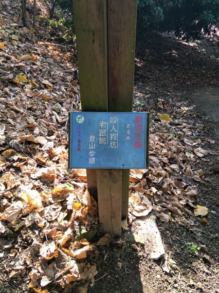 2018 04 18 咬人狗坑登山步道(三汀山)314131