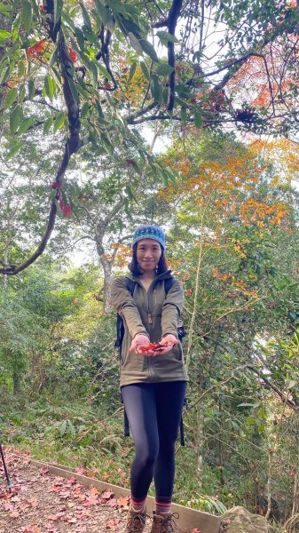 馬那邦山登山步道 NO 37 / 苗栗縣大湖鄉--我的第13座小百岳1598263