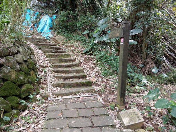 走永春寮步道登中正山，由第一登山口轉頂湖山下頂湖 (2021/3/26)1416705