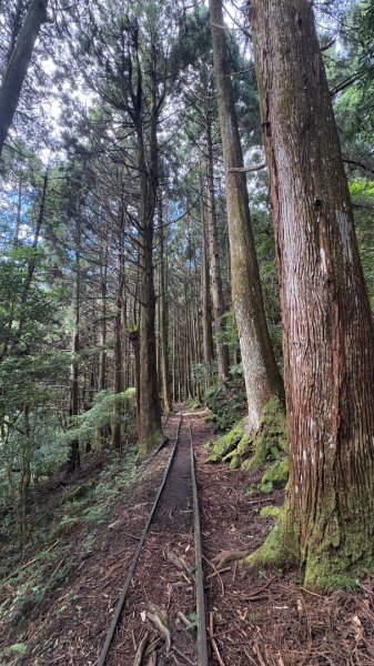 加里山東南峰2845047