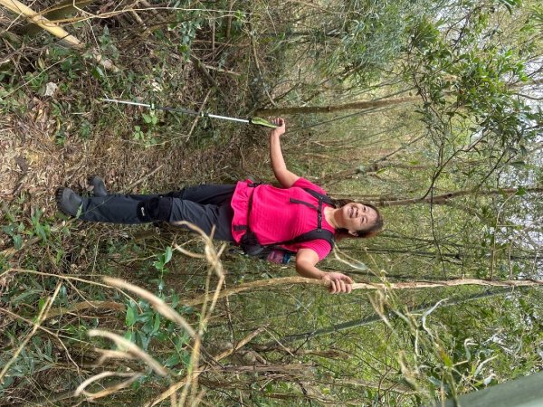 阿拔泉山、觀音石山、紅南坑山、獨立山2650794