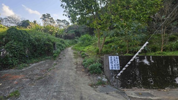 20260223石雲橋-元德寶宮賞櫻-大棟山3004784