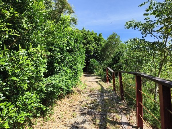 [漫遊縱谷 愛在花東-01/10] 2025_1011 大武觀海步道2912906