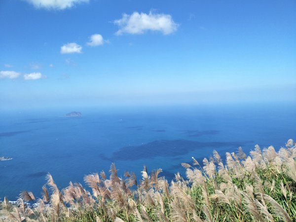 2018 11 30 雷霆峰步道(基隆山東峰、黃金一稜)&基隆山步道469031