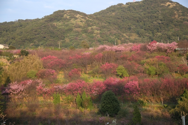 平菁街42巷11932