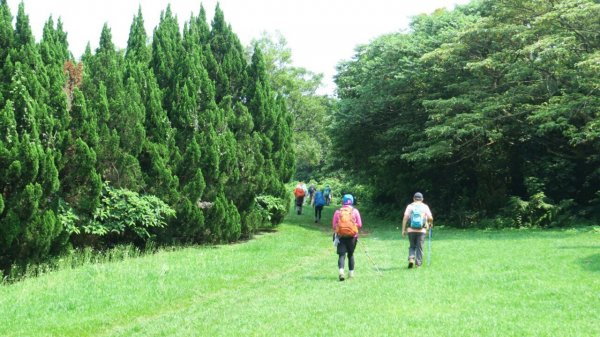 拓印檯關渡親山步道忠義山親山步道貴子坑親575928