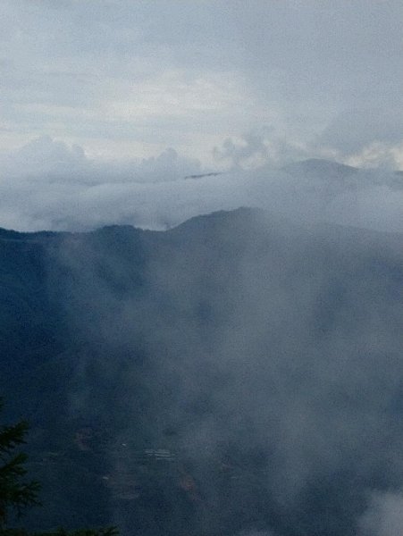 觀霧（榛山，檜山，野馬瞰山，觀霧瀑布）636015