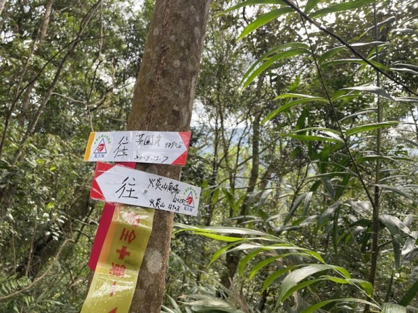 九芎根山-仁里板山2968832