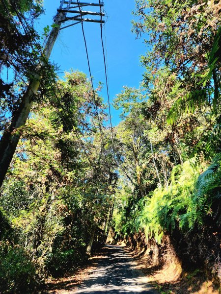 小百岳集起來-貓囒山2182834