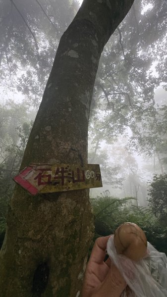 雙石縱走 O還2️⃣3050659