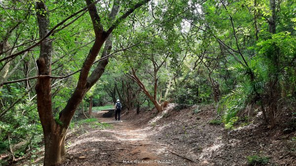 《台中》颱風前夕｜大肚環保公園登山步道(北段)202409292606719