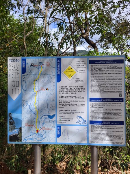 2025.11.30 谷關七雄 No.4 波津加山，不給休的蜂2952122