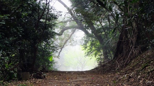 十八彎古道2026580