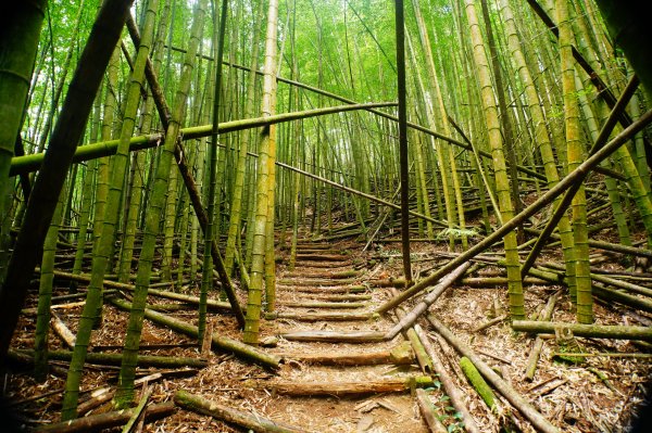 臺中 和平 大崠山、長壽山、醜崠山3028323