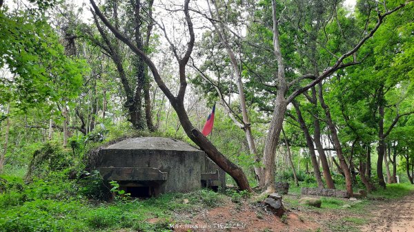 《苗栗》楓香林道｜頭份老崎古道（後花園步道）202503292748867