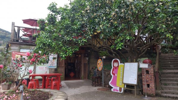 小百岳NO.5觀音山 牛港稜步道  硬漢嶺   楓櫃斗湖登山步道2090119