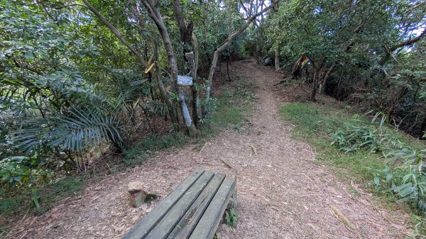 114.11.22鳶山彩碧-鳶山-鳶尾山之旅2943529