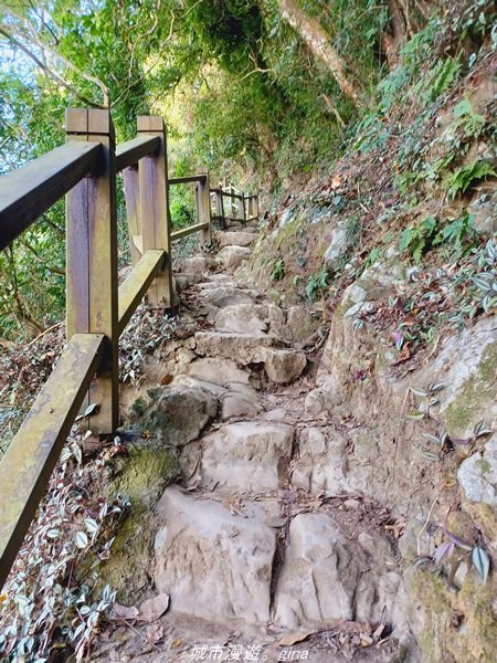 【台南。東山】 適合親子悠遊行。 小百岳集起來。 編號64小百岳-崁頭山步道1558961