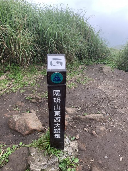 七星山主峰914495