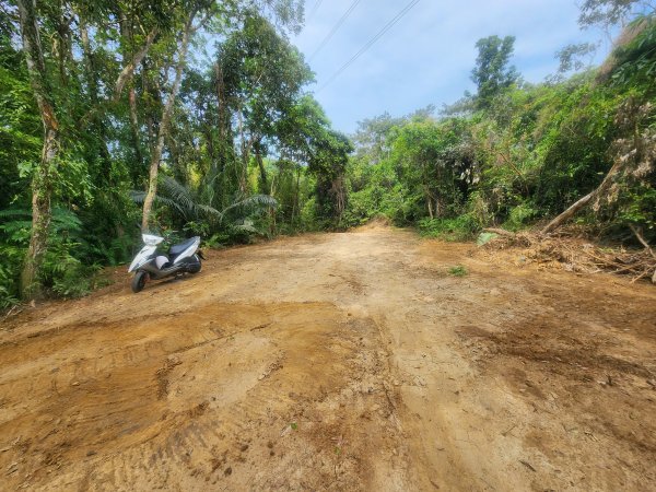 20250419蕩跋山劉家界山老社寮山新富山2936218