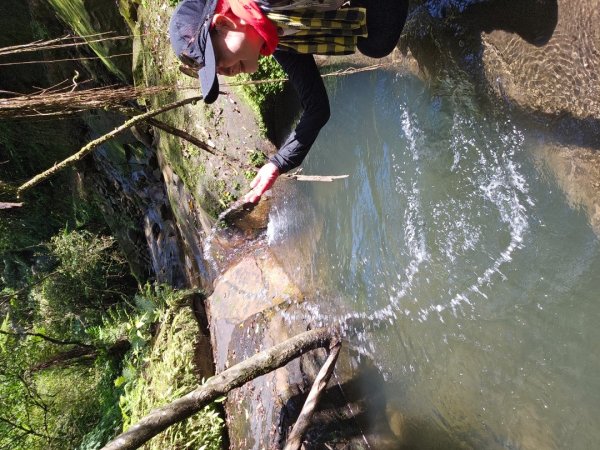 【菁桐】巡山東勢格古道全段加碼臭頭山2848013
