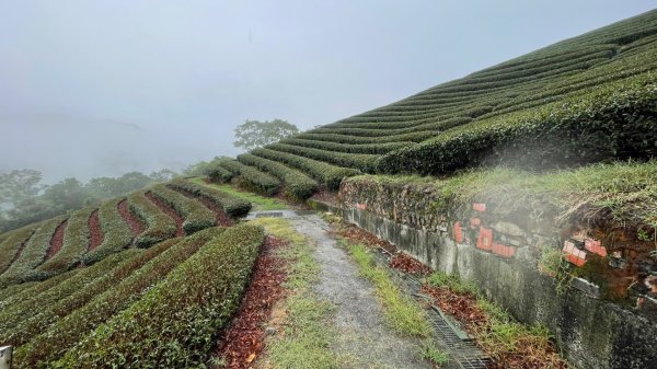 微笑山⛰️線-大棟-二格山-五分山-天上山-鳶山💎12條步道完成💙2834123