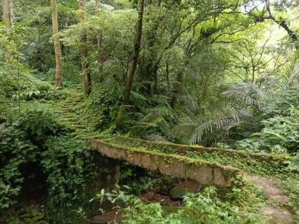平溪區善覺寺古道(步道)去回2855371
