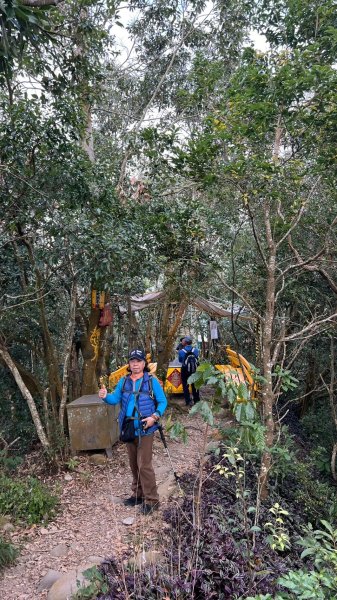 頭嵙山二嵙山O形2690503