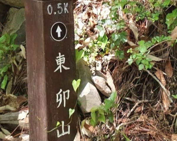【中級山】谷關七雄東卯山2740999