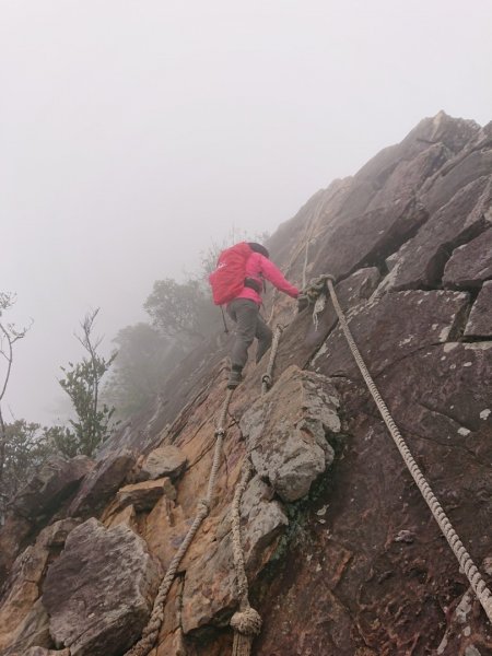 橫嶺山、鳶嘴山O 走1660949