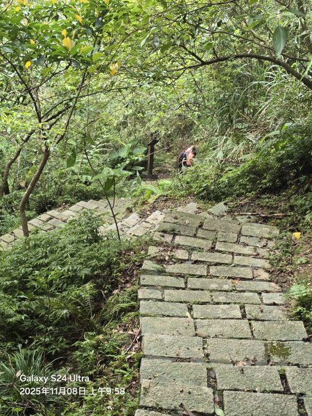 2025-11-08微笑山線：【五分山系】菁桐煤礦段2932718