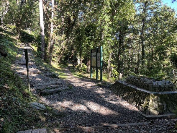 [玉山尋寶任務-03/12] 2025_0810 瓦拉米步道2857550