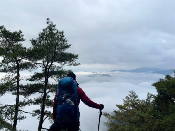 20250319～20嘉明湖國家步道🥶🥶🥶殘念😭2739783