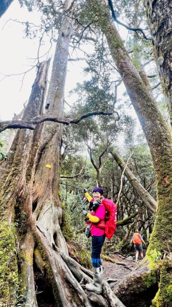 🌈4/13（日）（三）魔法森林-塔曼山~FB：熊熊趴爬走🌈2761320