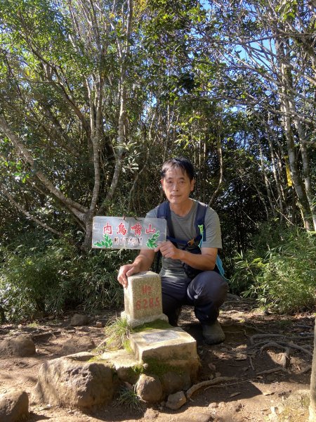 114.11.16 北得拉曼追黃金山毛櫸2937924